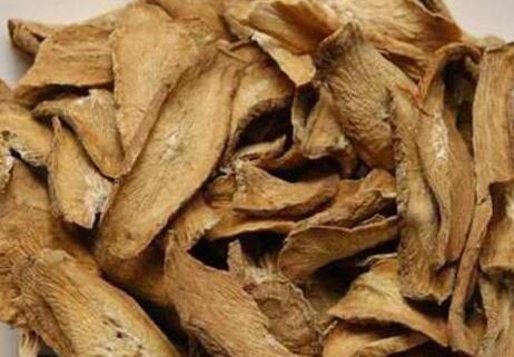 牛蒡根和牛蒡子区别，牛蒡根可以用牛蒡子代替吗