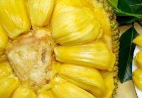 菠萝蜜什么人不能吃,菠萝蜜不适宜人群