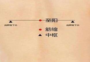 筋缩穴的简易找法，筋缩的按摩方法