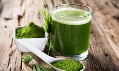 小麦苗的功效与作用及食用禁忌