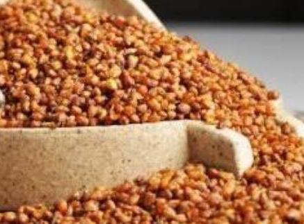 哪种苦荞茶比较好，如何区分苦荞茶的好坏