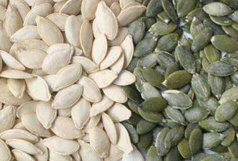 吃南瓜子可以提高性功能吗,男人吃南瓜子补精子吗