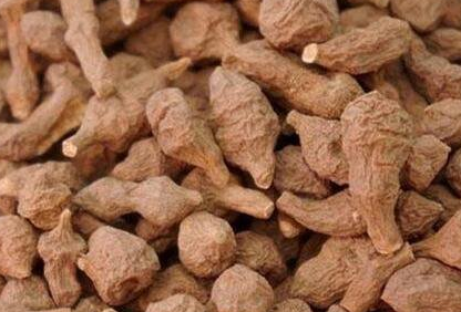 蕨麻孕妇可以吃吗，产妇吃蕨麻催奶吗