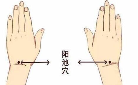 阳池的简易找法,阳池穴的神奇功效与作用