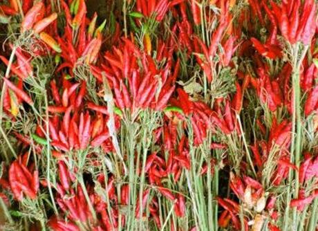 吃完辣椒吃什么能解辣？