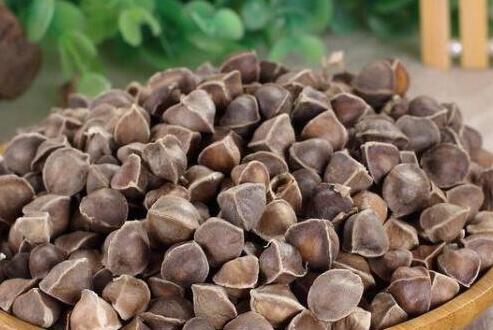 吃辣木籽苦是什么原因，辣木籽口感骗局