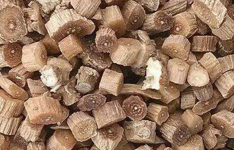 怀牛膝与川牛膝的区别有哪些？