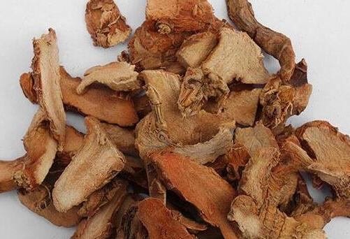 良姜适合炖什么肉,良姜在烹饪中的作用