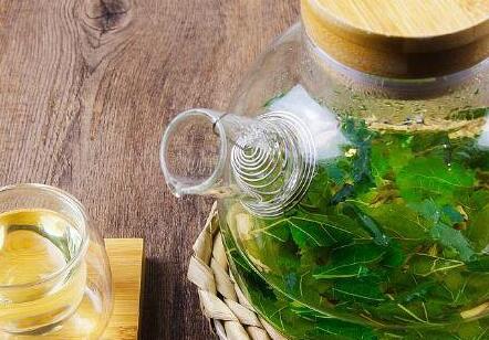 桑叶茶能减肥吗，桑叶茶怎样喝减肥效果最好