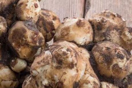 芋头的热量是多少大卡，吃芋头减肥还是增肥