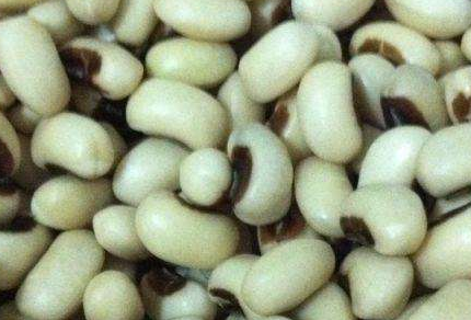 眉豆是热性还是凉性，眉豆哪些人不可以吃