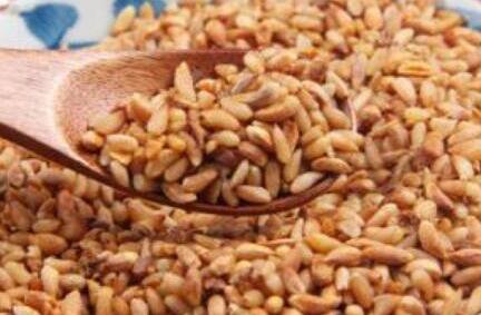 柏子仁是什么，柏子仁又叫什么