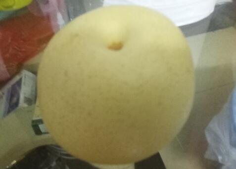 梨子的功效与作用及禁忌