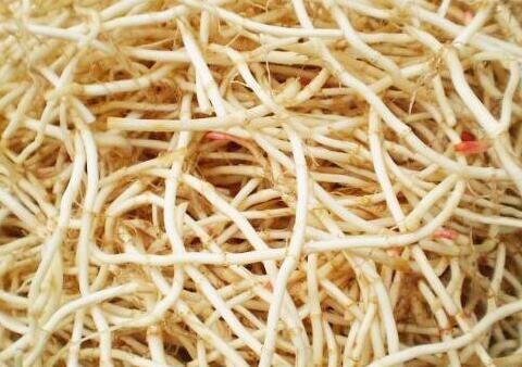 吃鱼腥草的危害，哪些人不能吃鱼腥草