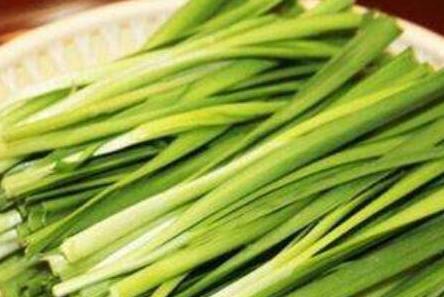 韭菜不能和什么一起吃，韭菜的食用禁忌