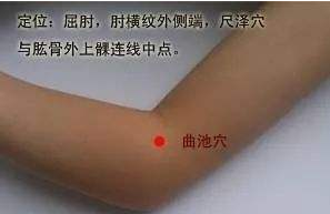 曲池穴的作用与功效，曲池的准确位置图片