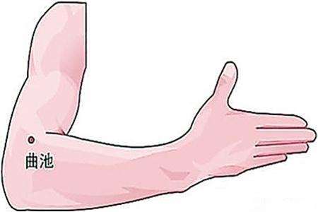 曲池穴的作用与功效，曲池的准确位置图片