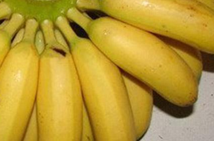粉蕉是寒性还是热性，粉蕉的禁忌
