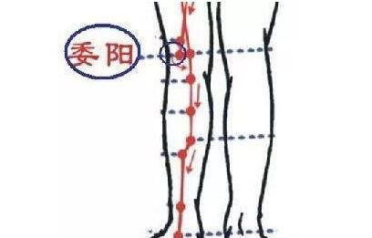 委阳的最简单找法，委阳的准确位置图和作用