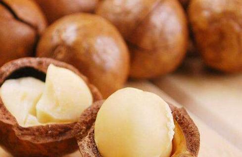 夏威夷果的价格，夏威夷果多少钱一斤2020