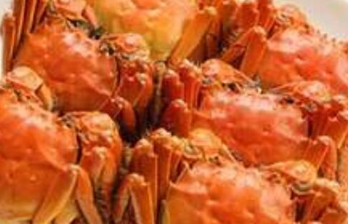 螃蟹怎么保存才新鲜，买了螃蟹一晚上全死了