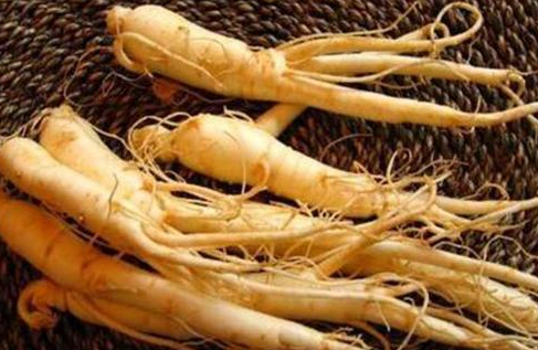 野山参怎么吃，野山参的功效和吃法