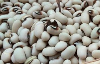 眉豆不能和什么一起吃，眉豆的营养价值和功效