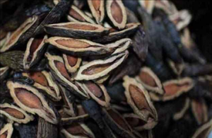 槟榔吃多了会不会影响性功能 槟榔对身体有哪些危害