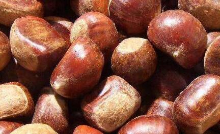 板栗可以治早泄吗？板栗治疗早泄食谱