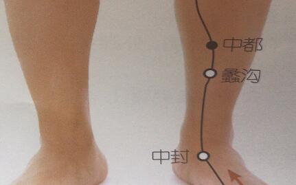 中都穴怎么找最简单，中都的准确位置图和作用