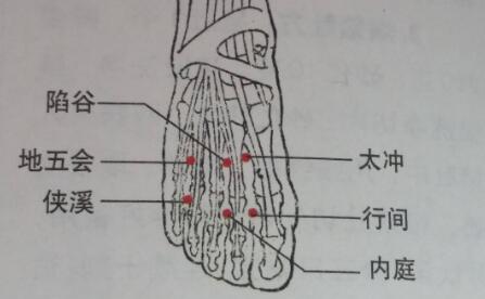 地五会的奇效，地五会的准确位置图和作用