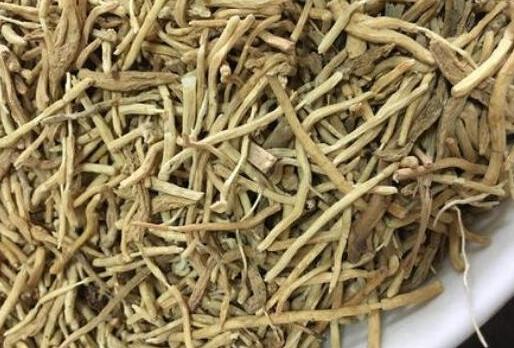 麦冬和什么一起泡最好，麦冬泡水喝的五大禁忌