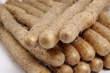 山药的功效与作用及禁忌，山药的食用方法