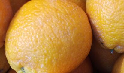 喝柠檬水能减肥吗，柠檬减肥的制作方法