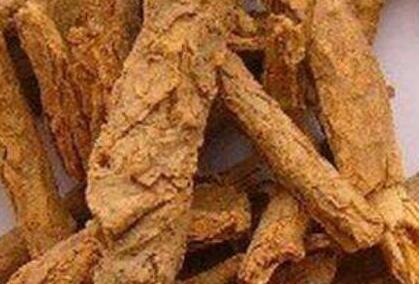 地骨皮泡水喝的功效及用量