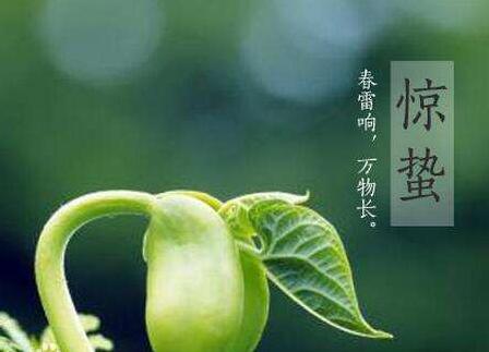 惊蛰吃什么食物？惊蛰吃什么食物养生？