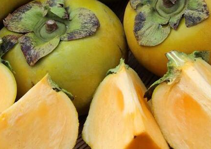 柿子是热性还是凉性，柿子和什么一起吃有毒