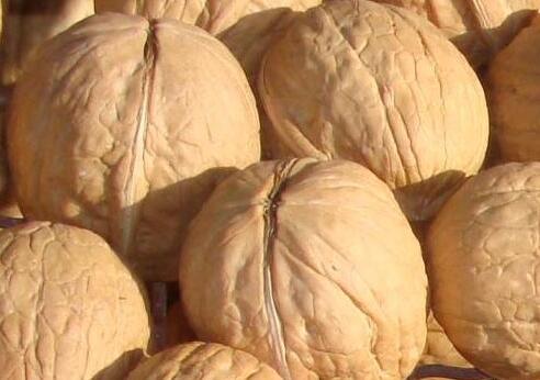 男人吃核桃会补肾壮阳吗，男人坚持吃了三个月核桃