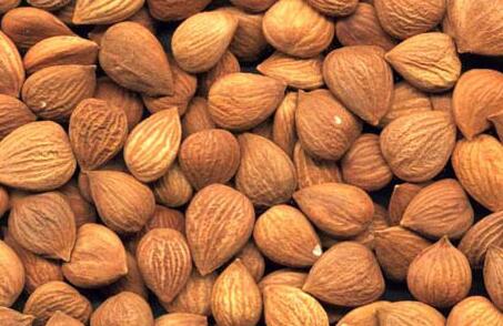 巴旦木和杏仁的区别，巴旦木和杏仁哪个更好