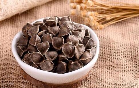 2020年辣木籽的价格，辣木籽多少钱一斤