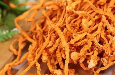 虫草花孕妇可以吃吗，孕妇吃虫草对胎儿好吗