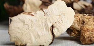 无比加革是什么 无比加革有哪些功效与作用