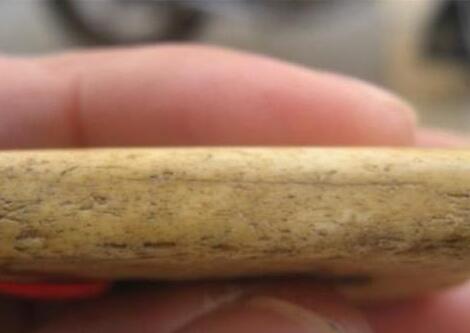 虎骨的功效与作用及禁忌