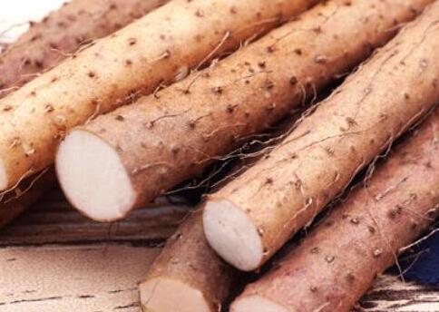 铁棍山药的功效与作用，我坚持吃铁棍山药一年