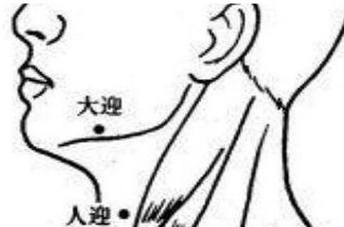大迎穴怎么找，大迎的准确位置图和作用