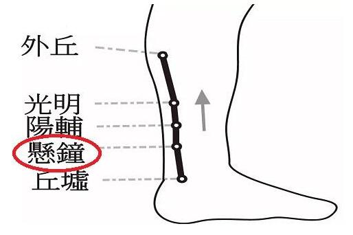 悬钟的定位和主治，悬钟的准确位置图和作用