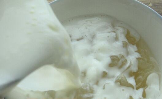 雪莲菌的功效与作用及食用方法