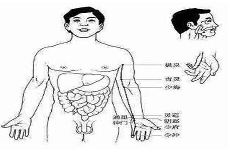 手少阴心经循行路线图，心经的准确位置图和作用