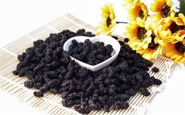 桑葚干的功效与作用 桑葚怎么吃最补肾