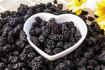 桑葚干的功效与作用 桑葚怎么吃最补肾